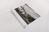 Aviator by Nathan Larson. shown as a rolled paper print. Available as archival giclee rolled canvas, fine art paper, or poster print. SKU 76904i.