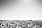 Badland Expanse by Nathan Larson. SKU 80631i. Archival Giclee Fine art print for wall decor.