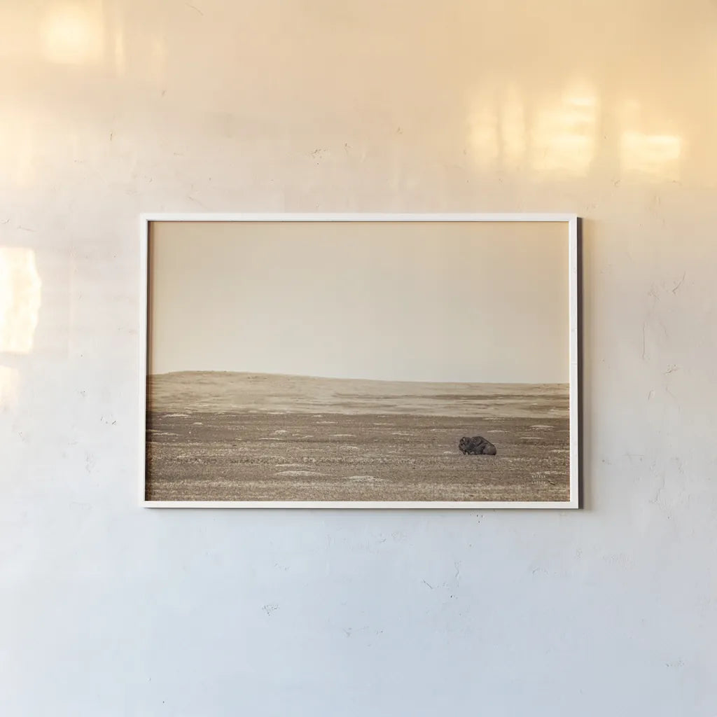 Badlands Guard Sepia by Nathan Larson. shown as a paper print in a white frame. Available as a archival giclee rolled canvas, fine art paper, or poster print. SKU 84262i.