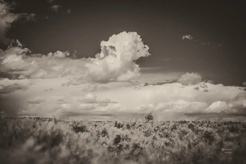 Banks of the Yellowstone River by Nathan Larson. SKU 96617i. Archival Giclee Fine art print for wall decor.