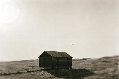 Barn Roost by Nathan Larson. SKU 92542i. Archival Giclee Fine art print for wall decor.