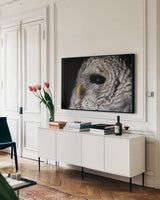 Barred Owl Portrait by Nathan Larson. shown as a framed stretched canvas in a living room above a console. Available as a archival giclee rolled canvas, fine art paper, or poster print. SKU 74413i.