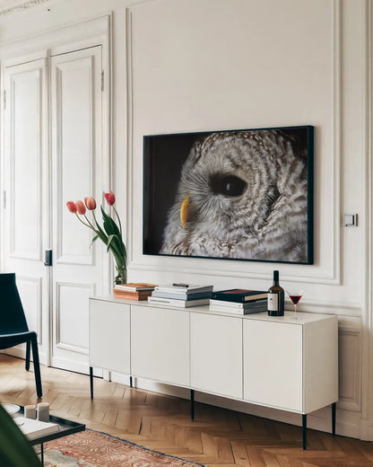 Barred Owl Portrait by Nathan Larson. shown as a framed stretched canvas in a living room above a console. Available as a archival giclee rolled canvas, fine art paper, or poster print. SKU 74413i.
