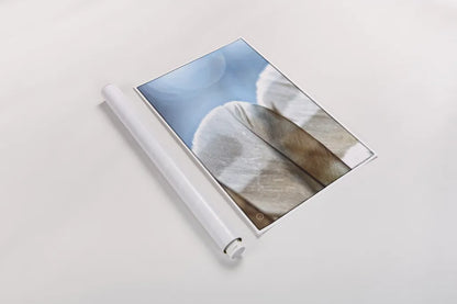 Barred Owl Wing Tip by Nathan Larson. shown as a rolled paper print. Available as archival giclee rolled canvas, fine art paper, or poster print. SKU 74415i.