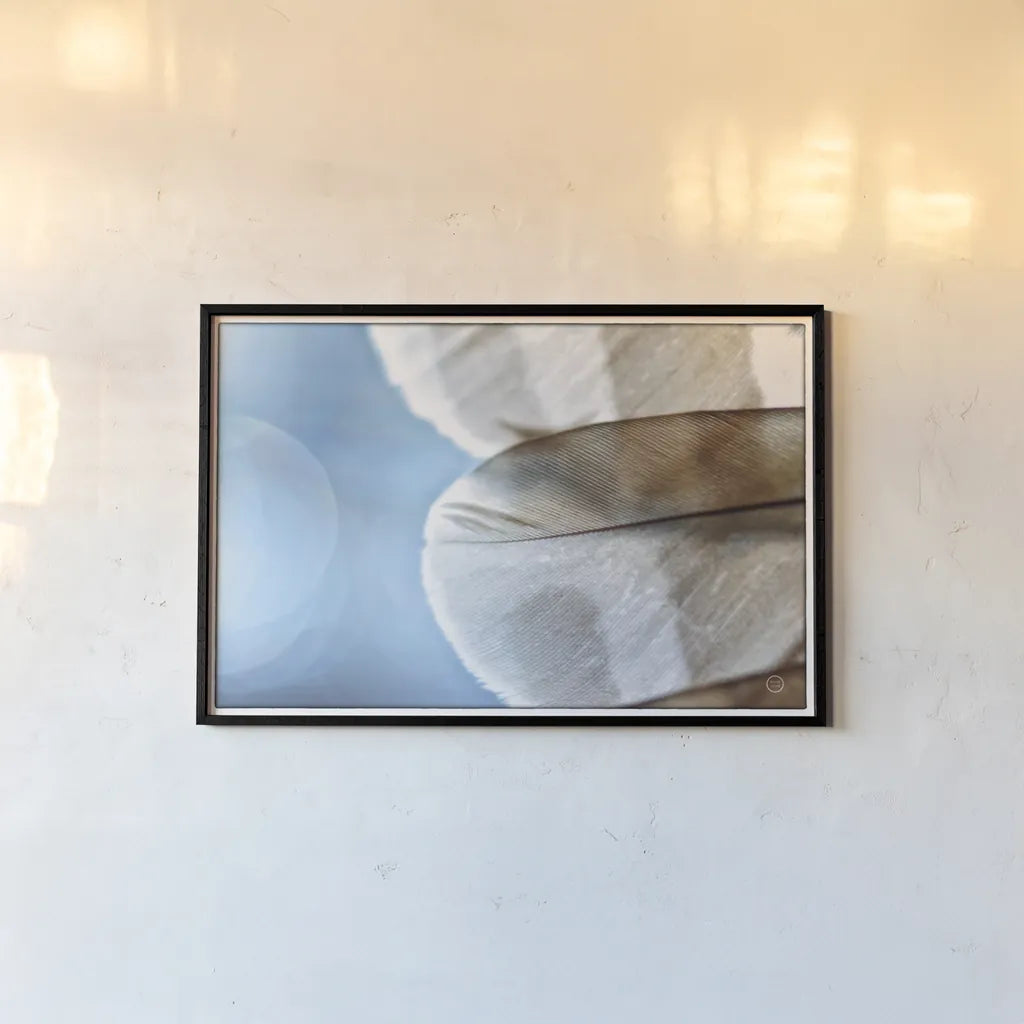 Barred Owl Wing Tip by Nathan Larson. shown as a paper print in a black flame. Available as a archival giclee rolled canvas, fine art paper, or poster print. SKU 74415i.