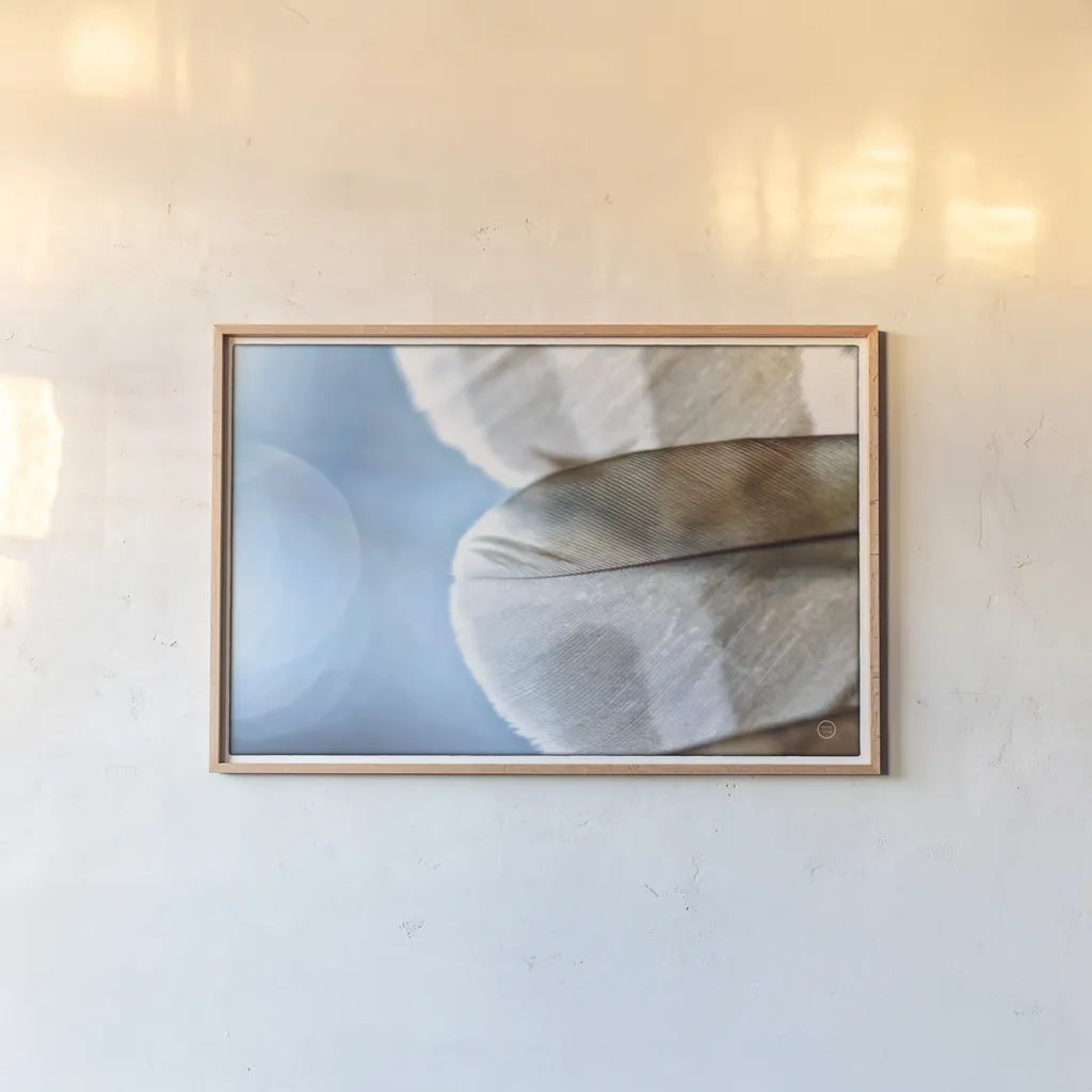 Barred Owl Wing Tip by Nathan Larson. shown as a paper print in a natural frame. Available as a archival giclee rolled canvas, fine art paper, or poster print. SKU 74415i.