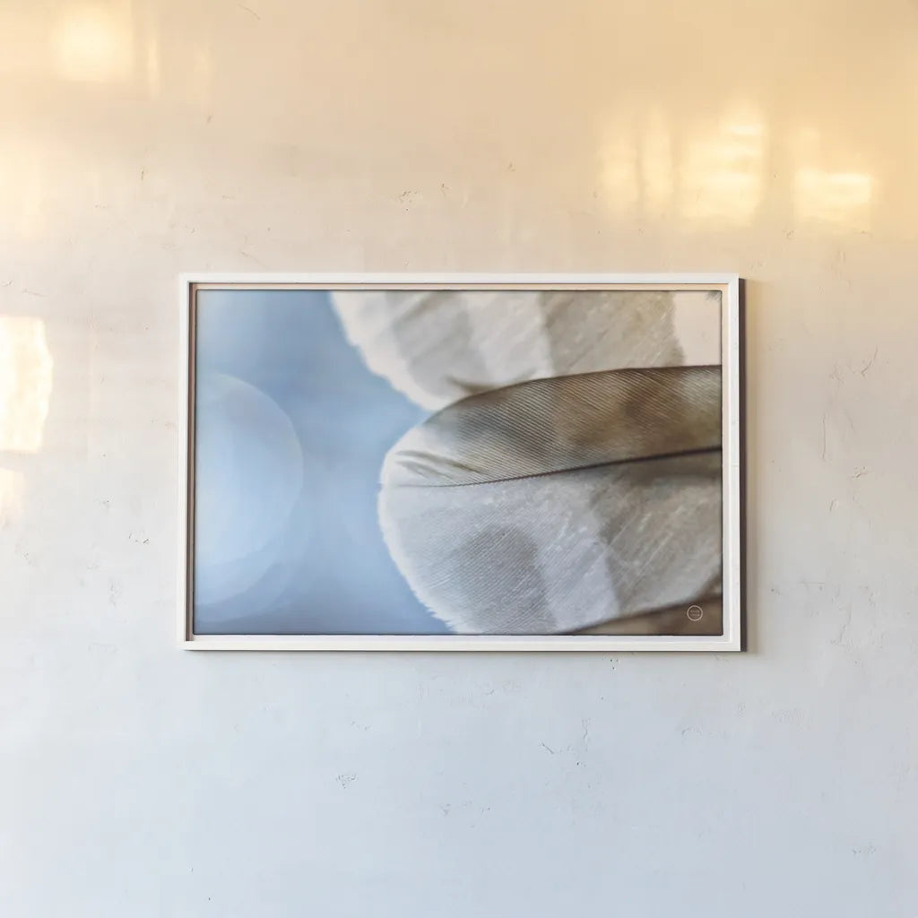 Barred Owl Wing Tip by Nathan Larson. shown as a paper print in a white frame. Available as a archival giclee rolled canvas, fine art paper, or poster print. SKU 74415i.