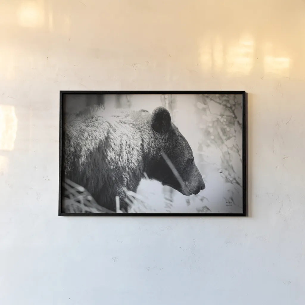 Bear Emerging by Nathan Larson. shown as a paper print in a black flame. Available as a archival giclee rolled canvas, fine art paper, or poster print. SKU 80432i.