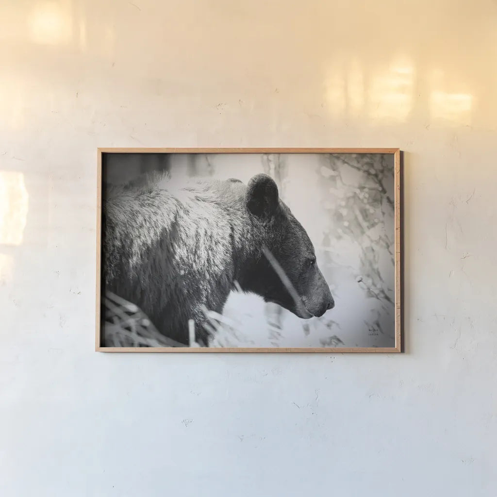 Bear Emerging by Nathan Larson. shown as a paper print in a natural frame. Available as a archival giclee rolled canvas, fine art paper, or poster print. SKU 80432i.