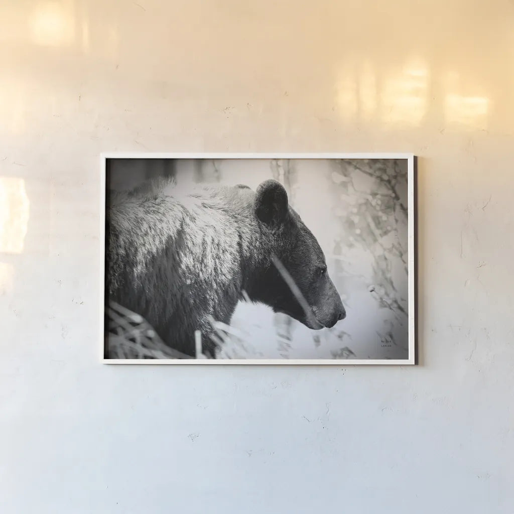 Bear Emerging by Nathan Larson. shown as a paper print in a white frame. Available as a archival giclee rolled canvas, fine art paper, or poster print. SKU 80432i.