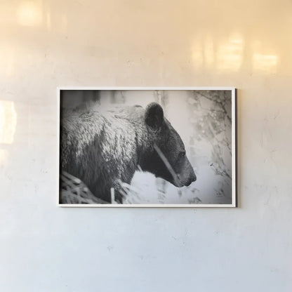 Bear Emerging by Nathan Larson. shown as a paper print in a white frame. Available as a archival giclee rolled canvas, fine art paper, or poster print. SKU 80432i.