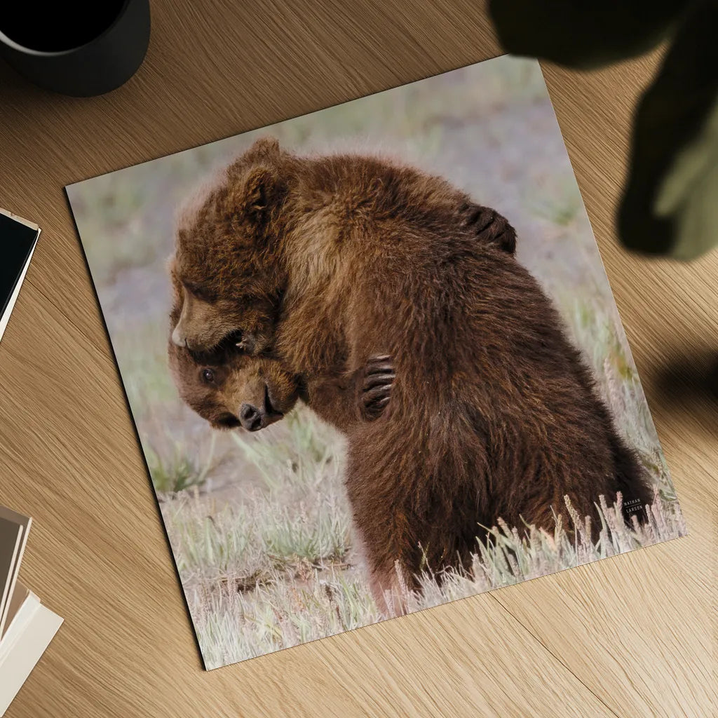 Bear Hug by Nathan Larson. Shown as a detailed flat fine art print, highlighting archival giclee quality. Available as an archival giclee rolled canvas, fine art paper, or poster print. SKU 100763a.