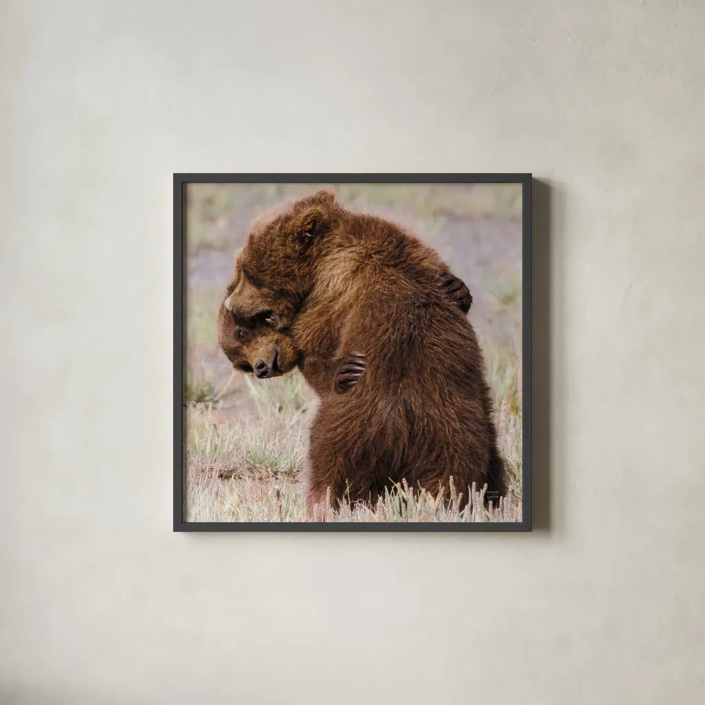 Bear Hug by Nathan Larson. Shown in a sleek black glass frame for a contemporary gallery look. Available as an archival giclee rolled canvas, fine art paper, or poster print. SKU 100763a.