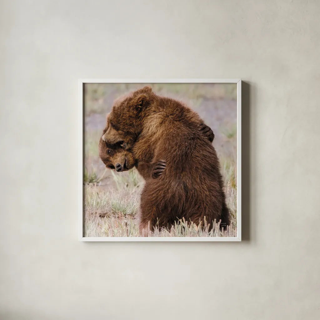 Bear Hug by Nathan Larson. Shown in a crisp white glass frame for a clean and minimalist style. Available as an archival giclee rolled canvas, fine art paper, or poster print. SKU 100763a.