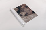 Bear Portrait by Nathan Larson. shown as a rolled paper print. Available as archival giclee rolled canvas, fine art paper, or poster print. SKU 80445i.