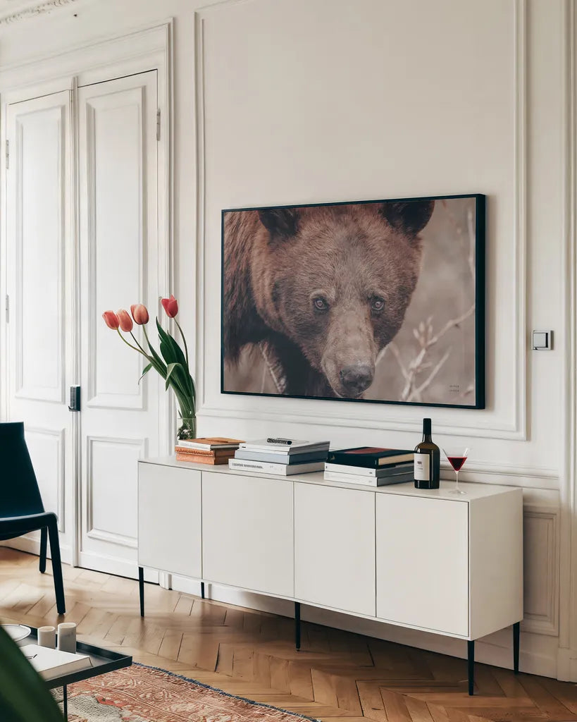 Bear Portrait by Nathan Larson. shown as a framed stretched canvas in a living room above a console. Available as a archival giclee rolled canvas, fine art paper, or poster print. SKU 80445i.