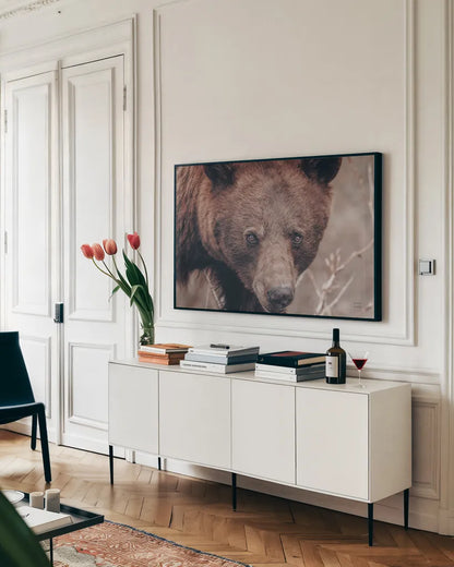 Bear Portrait by Nathan Larson. shown as a framed stretched canvas in a living room above a console. Available as a archival giclee rolled canvas, fine art paper, or poster print. SKU 80445i.