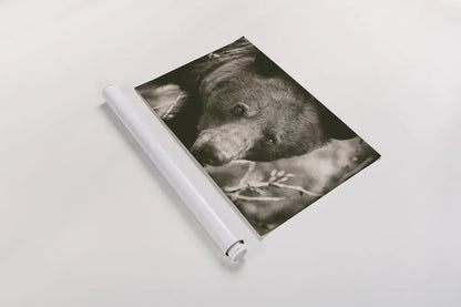 Bear Portrait Sepia by Nathan Larson. shown as a rolled paper print. Available as archival giclee rolled canvas, fine art paper, or poster print. SKU 80447i.
