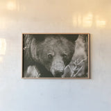 Bear Portrait Sepia by Nathan Larson. shown as a paper print in a natural frame. Available as a archival giclee rolled canvas, fine art paper, or poster print. SKU 80447i.