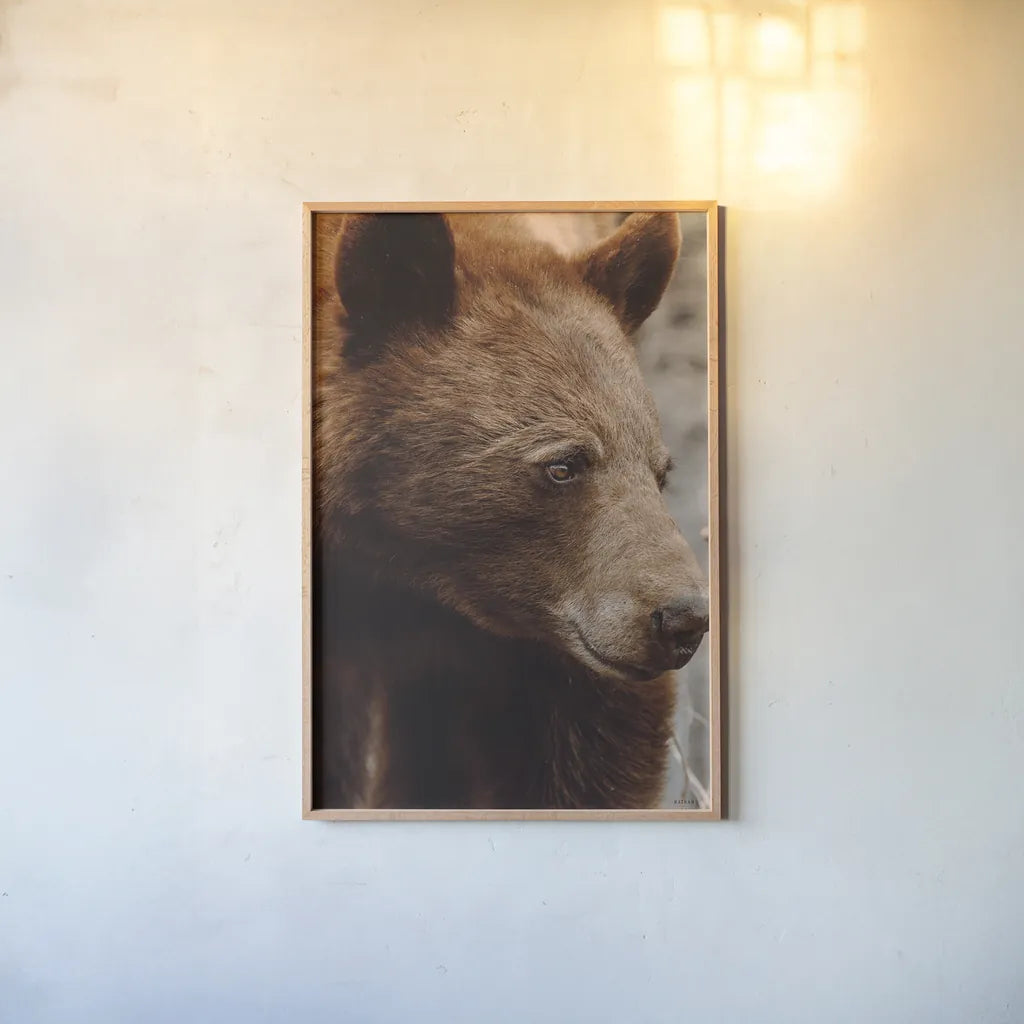 Bear Profile I by Nathan Larson. shown as a paper print in a natural frame. Available as a archival giclee rolled canvas, fine art paper, or poster print. SKU 80433h.