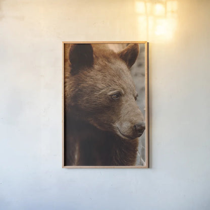 Bear Profile I by Nathan Larson. shown as a paper print in a natural frame. Available as a archival giclee rolled canvas, fine art paper, or poster print. SKU 80433h.