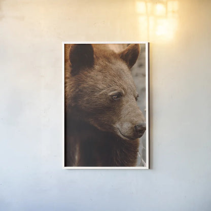 Bear Profile I by Nathan Larson. shown as a paper print in a white frame. Available as a archival giclee rolled canvas, fine art paper, or poster print. SKU 80433h.