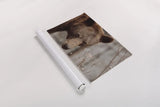Bear Profile II by Nathan Larson. shown as a rolled paper print. Available as archival giclee rolled canvas, fine art paper, or poster print. SKU 80434i.