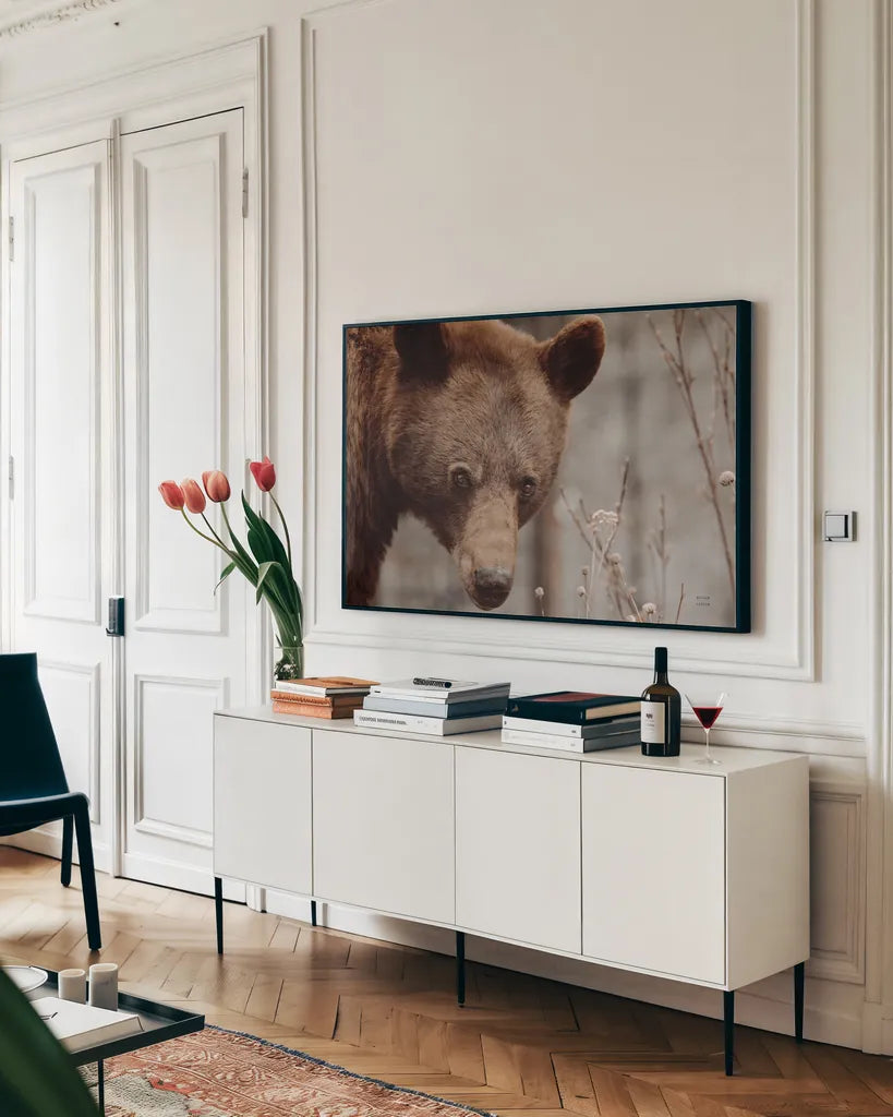 Bear Profile II by Nathan Larson. shown as a framed stretched canvas in a living room above a console. Available as a archival giclee rolled canvas, fine art paper, or poster print. SKU 80434i.