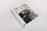 Bear Tones by Nathan Larson. shown as a rolled paper print. Available as archival giclee rolled canvas, fine art paper, or poster print. SKU 80448i.