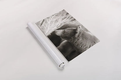 Bear Tones by Nathan Larson. shown as a rolled paper print. Available as archival giclee rolled canvas, fine art paper, or poster print. SKU 80448i.