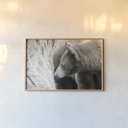Bear Tones by Nathan Larson. shown as a paper print in a natural frame. Available as a archival giclee rolled canvas, fine art paper, or poster print. SKU 80448i.