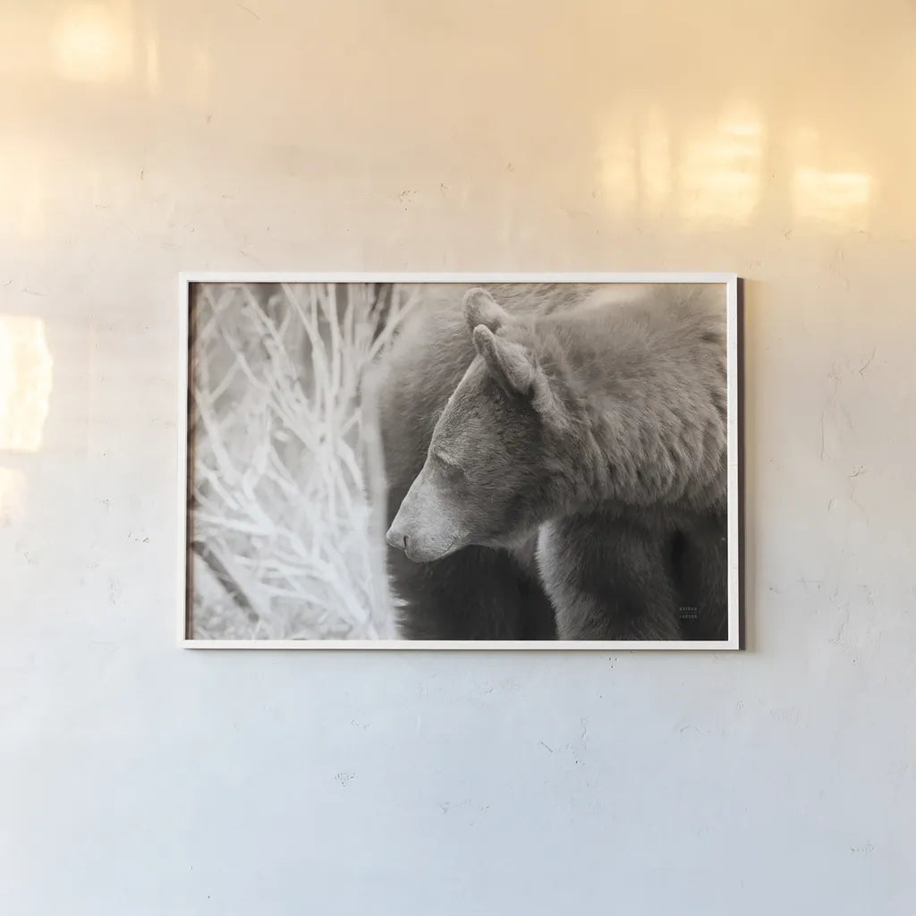 Bear Tones by Nathan Larson. shown as a paper print in a white frame. Available as a archival giclee rolled canvas, fine art paper, or poster print. SKU 80448i.