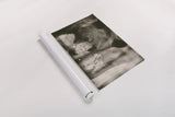 Bear Wetplate by Nathan Larson. shown as a rolled paper print. Available as archival giclee rolled canvas, fine art paper, or poster print. SKU 100752i.
