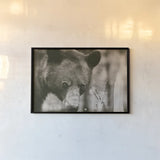 Bear Wetplate by Nathan Larson. shown as a paper print in a black flame. Available as a archival giclee rolled canvas, fine art paper, or poster print. SKU 100752i.