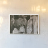 Bear Wetplate by Nathan Larson. shown as a paper print in a white frame. Available as a archival giclee rolled canvas, fine art paper, or poster print. SKU 100752i.