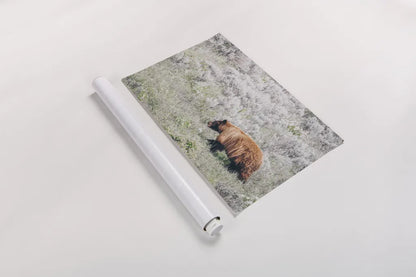Bear in Sage by Nathan Larson. shown as a rolled paper print. Available as archival giclee rolled canvas, fine art paper, or poster print. SKU 92544i.