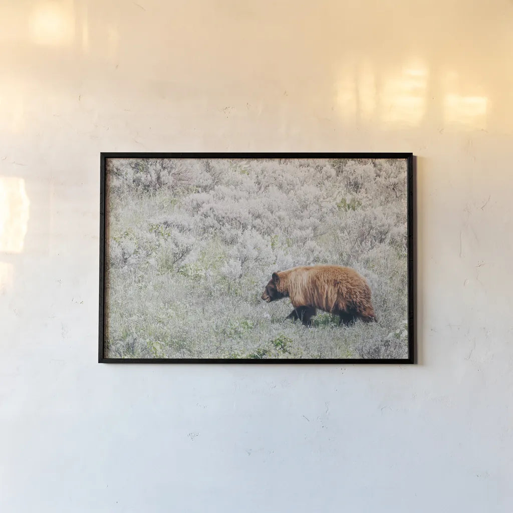 Bear in Sage by Nathan Larson. shown as a paper print in a black flame. Available as a archival giclee rolled canvas, fine art paper, or poster print. SKU 92544i.