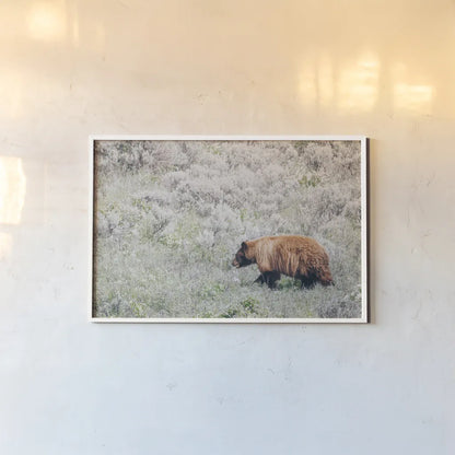 Bear in Sage by Nathan Larson. shown as a paper print in a white frame. Available as a archival giclee rolled canvas, fine art paper, or poster print. SKU 92544i.