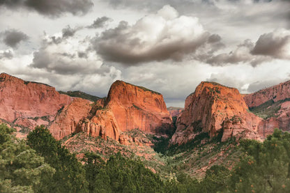 Beauty of Zion No Blur by Nathan Larson. SKU 96728i. Archival Giclee Fine art print for wall decor.
