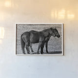 Best Buds by Nathan Larson. shown as a paper print in a white frame. Available as a archival giclee rolled canvas, fine art paper, or poster print. SKU 99214i.