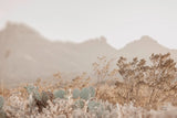 Big Bend National Park by Nathan Larson. SKU 103209i. Archival Giclee Fine art print for wall decor.