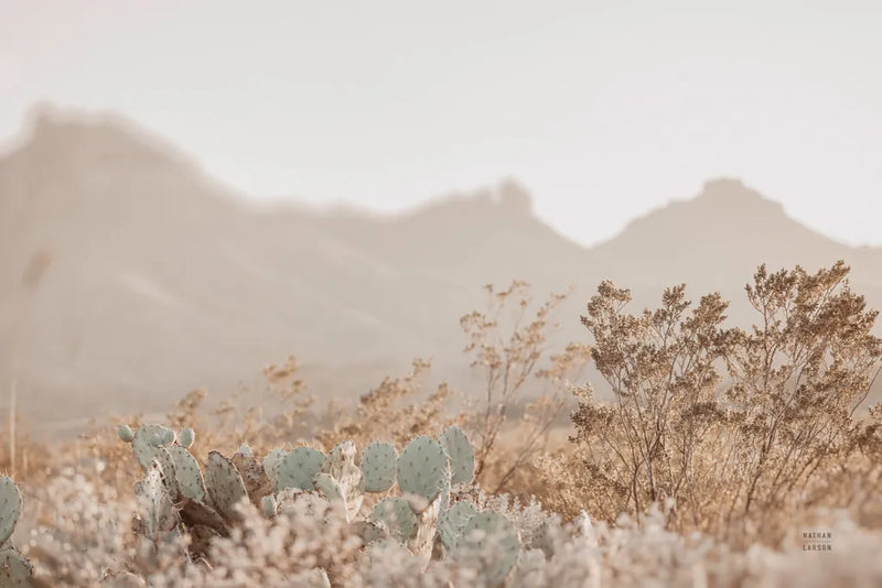 Big Bend National Park by Nathan Larson. SKU 103209i. Archival Giclee Fine art print for wall decor.