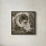 Big Horn by Nathan Larson. Shown in a sleek black glass frame for a contemporary gallery look. Available as an archival giclee rolled canvas, fine art paper, or poster print. SKU 84246a.