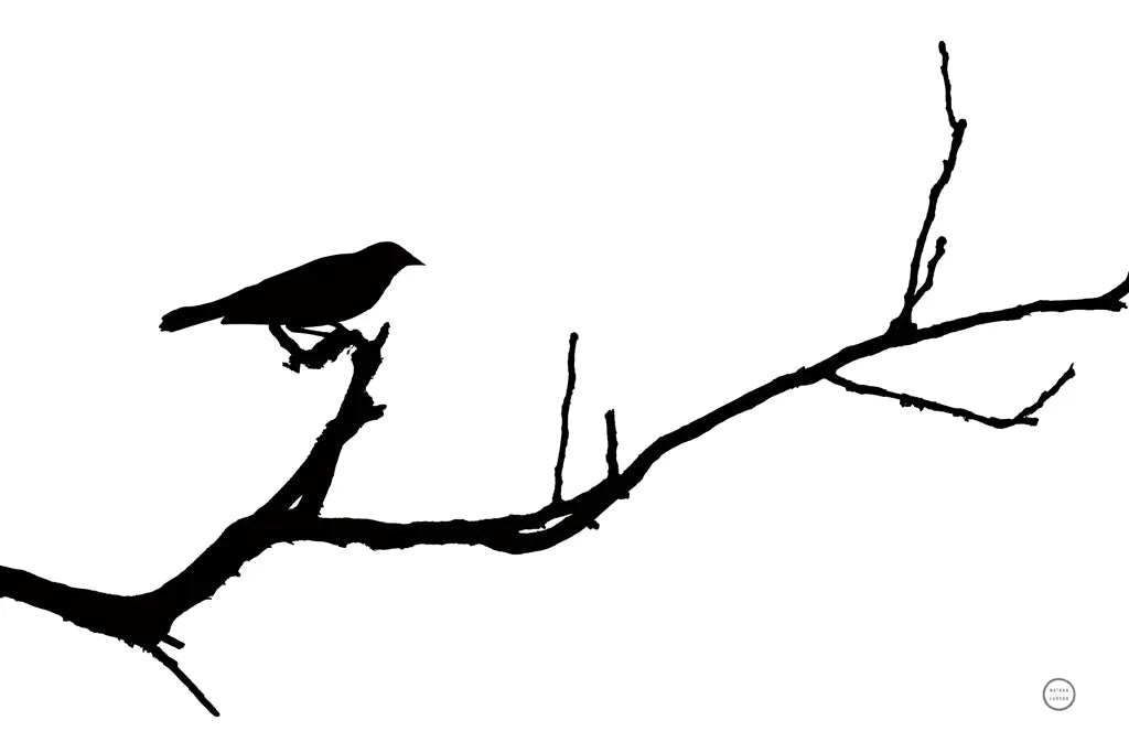 Bird Silhouette by Nathan Larson. SKU 70278i. Archival Giclee Fine art print for wall decor.