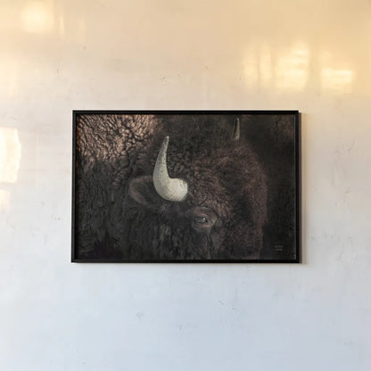 Bison by Nathan Larson. shown as a paper print in a black flame. Available as a archival giclee rolled canvas, fine art paper, or poster print. SKU 84259i.