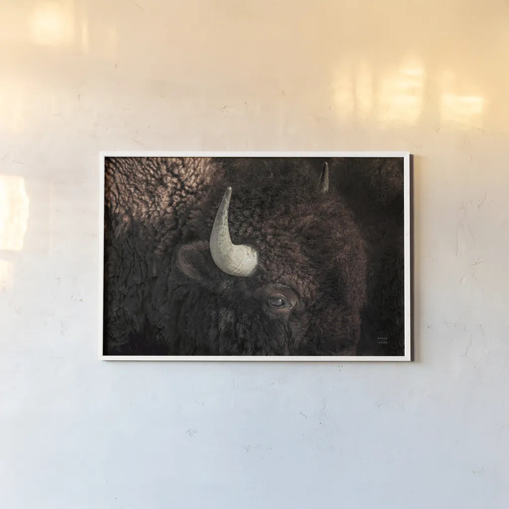 Bison by Nathan Larson. shown as a paper print in a white frame. Available as a archival giclee rolled canvas, fine art paper, or poster print. SKU 84259i.