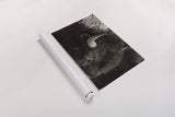 Bison BW by Nathan Larson. shown as a rolled paper print. Available as archival giclee rolled canvas, fine art paper, or poster print. SKU 84260i.