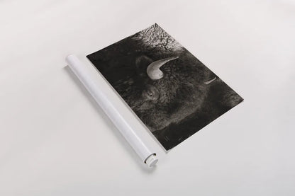 Bison BW by Nathan Larson. shown as a rolled paper print. Available as archival giclee rolled canvas, fine art paper, or poster print. SKU 84260i.