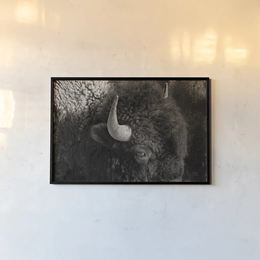 Bison BW by Nathan Larson. shown as a paper print in a black flame. Available as a archival giclee rolled canvas, fine art paper, or poster print. SKU 84260i.