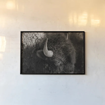 Bison BW by Nathan Larson. shown as a paper print in a black flame. Available as a archival giclee rolled canvas, fine art paper, or poster print. SKU 84260i.